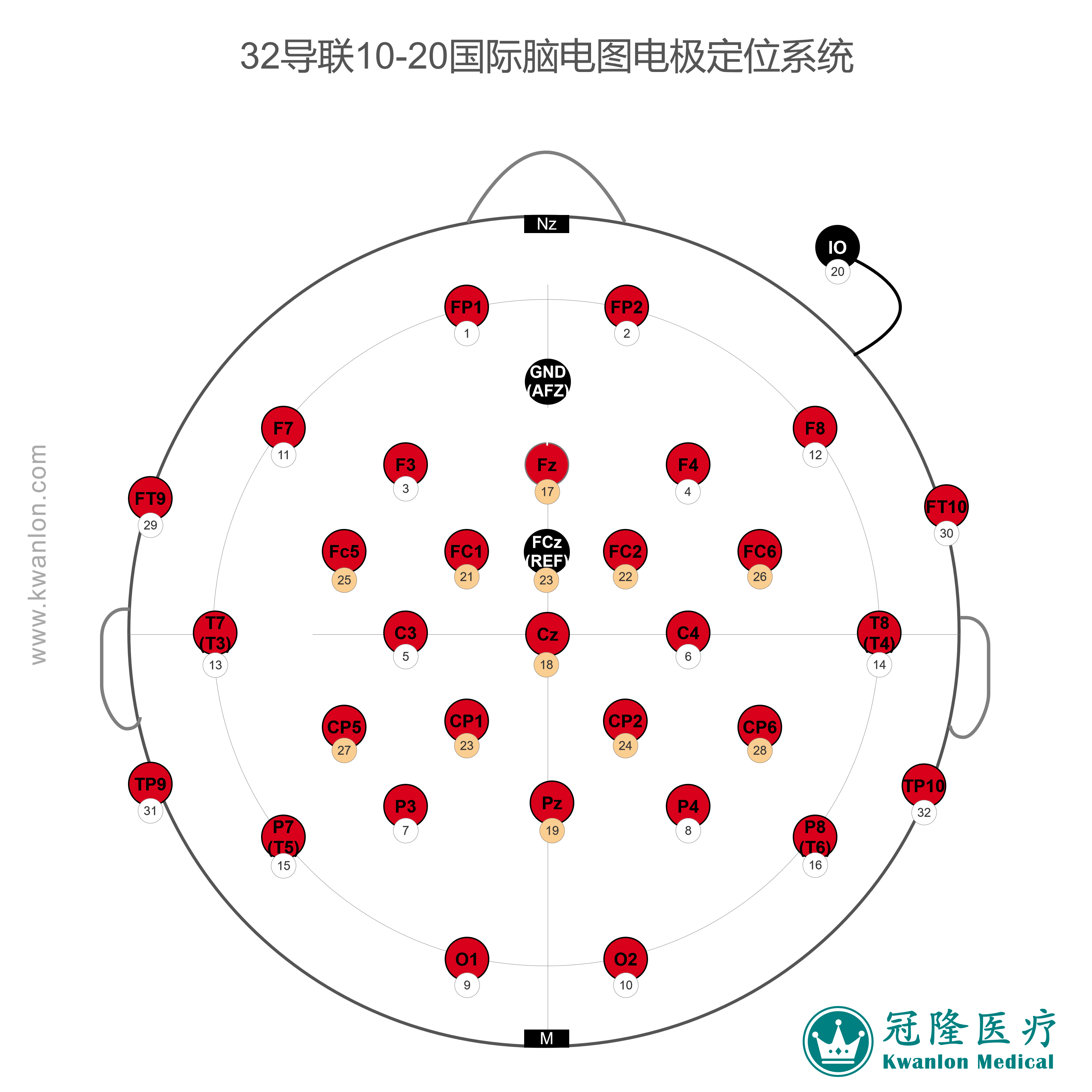 33導(dǎo)10-20國(guó)際腦電圖電極定位